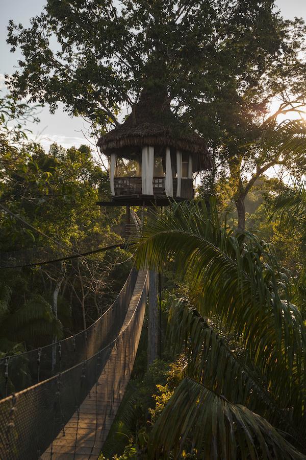 Treehouse Lodge Yucuruche Ngoại thất bức ảnh