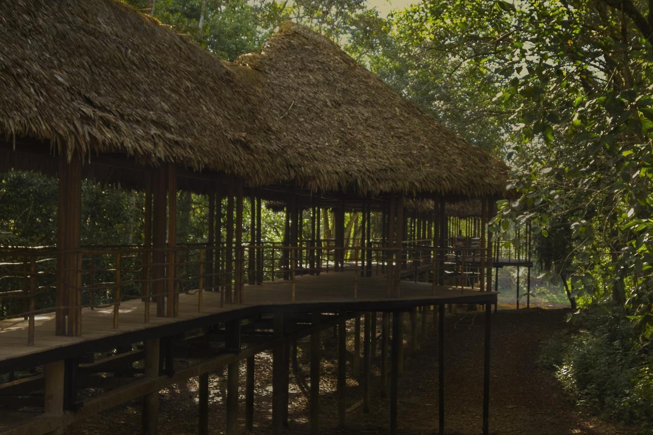 Treehouse Lodge Yucuruche Ngoại thất bức ảnh
